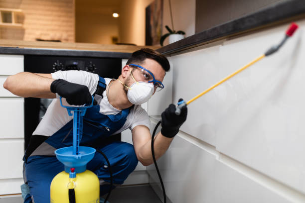 Best Flea Control Services  in Johnsonville, SC