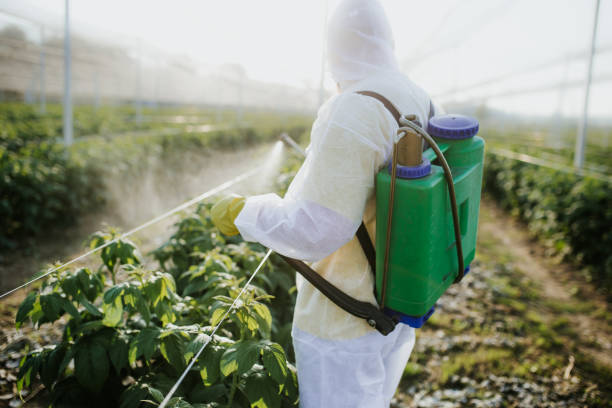 Best Wasp Removal Services  in Johnsonville, SC